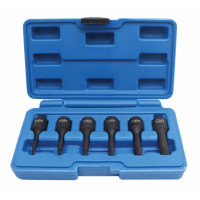 SATRA Bojātu skrūvju uzgaļu komplekts S-1036B