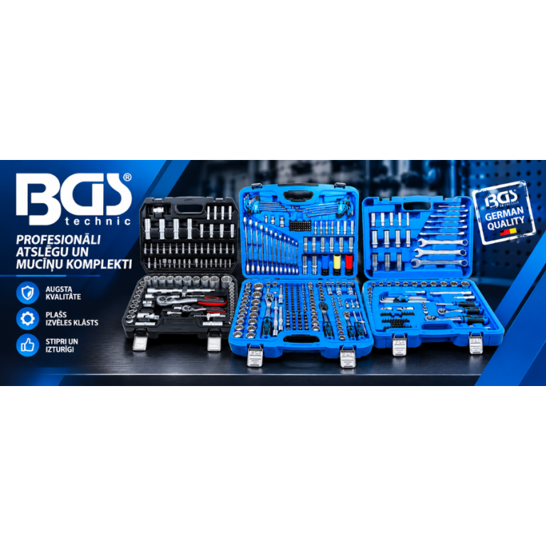 BGS