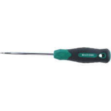 Changlu  Screwdriver flat pattern / 5 x 100mm
