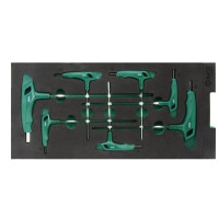 Sata Tray. T-hex key set 7pcs