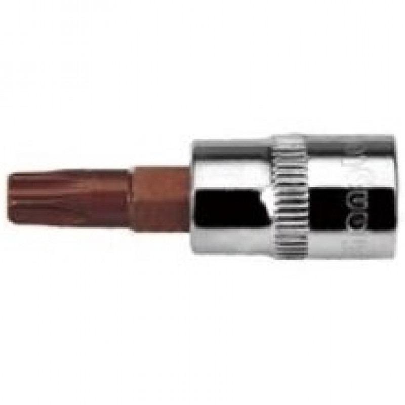 Changlu  Головка бита Dr.TORX 1/4
